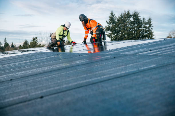 Top rated local Storm Damage Roof Repair specialists in Reed City, MI